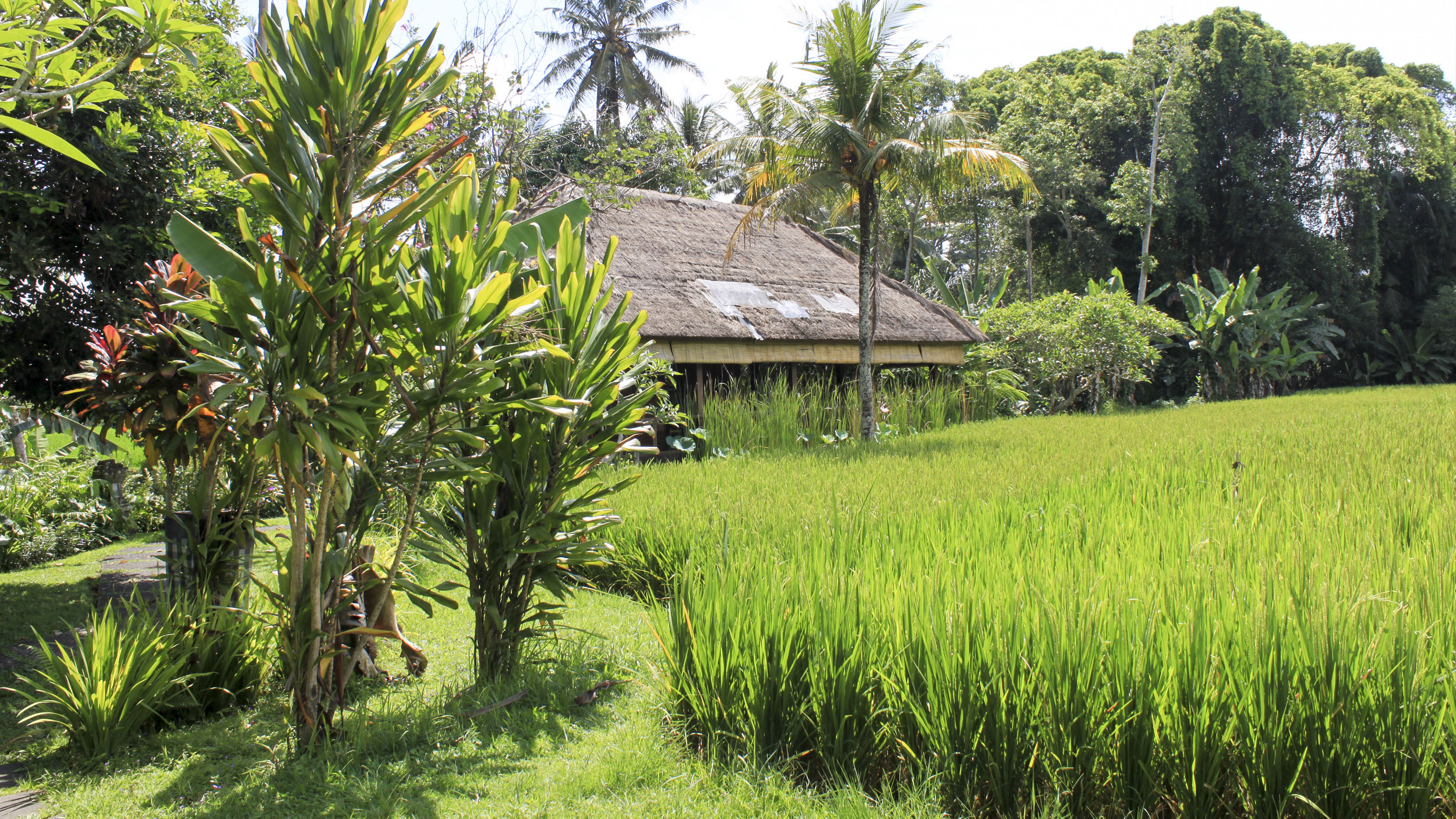 Bali - Eine Insel die glücklich macht!